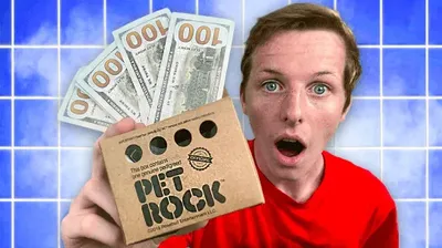 YouTube thumbnail: a pet rock and a stack of cash