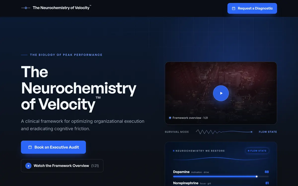Executive Flow — The Neurochemistry of Velocity homepage